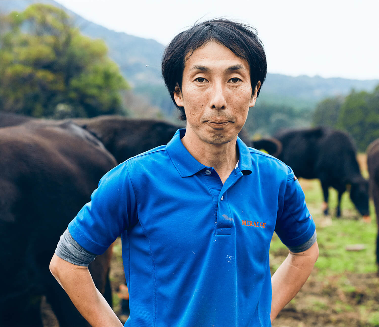 Quelques mots d'un éleveur de wagyu japonais